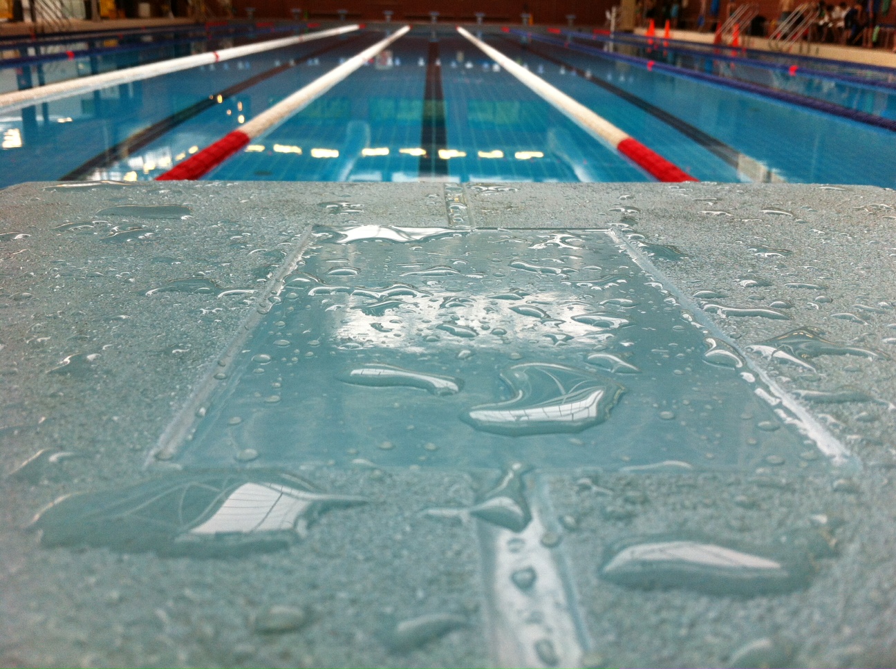 Reyno de Navarra - Natación con Aletas